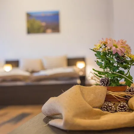 Къща за гости Къща за гости Бабуч