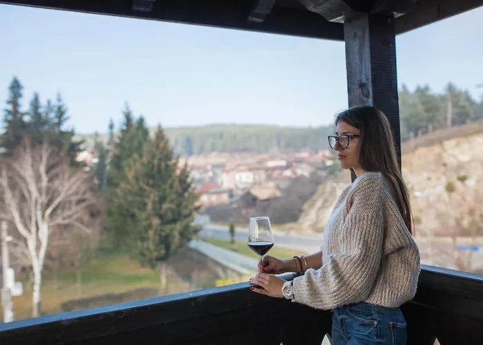 Pensiune Къща За Гости Бабуч Dobriniște