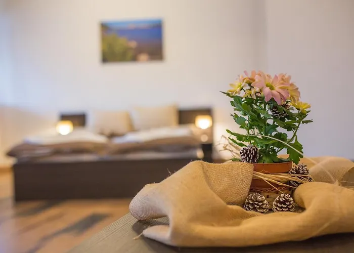 Pensiune Къща За Гости Бабуч